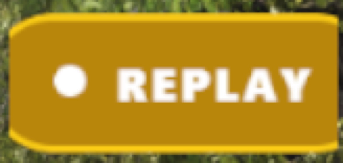 A gold REPLAY badge with a dot